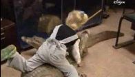 video Onun oyuncakları canlı timsahlar