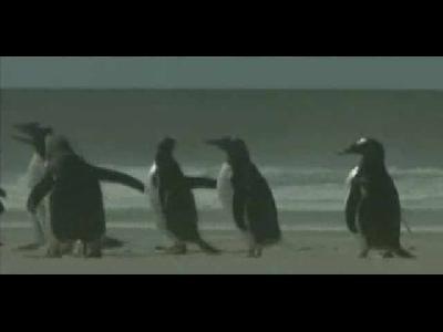 5 milyon penguen nereye gitti?