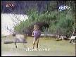 video köpekler ile çocuklar