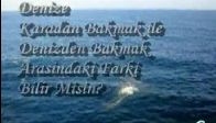 Denizci Şiiri