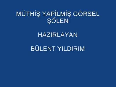 görsel şölen