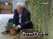 Yaprak Dökümü Bölüm 120 HD