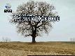 Yaprak D�k�m� B�l�m 130 Part 1
