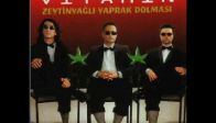 grup vitamin hamiyet