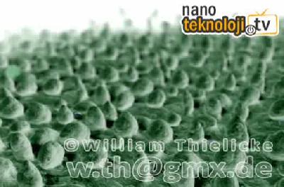 Nano Teknoloji Nedir?