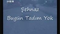video Şehnaz - Bugün Tadım Yok ( KLIP ) 1992