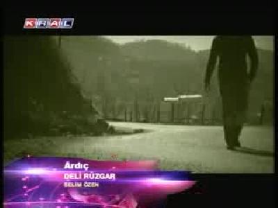 Deli rüzgar-Ardıç