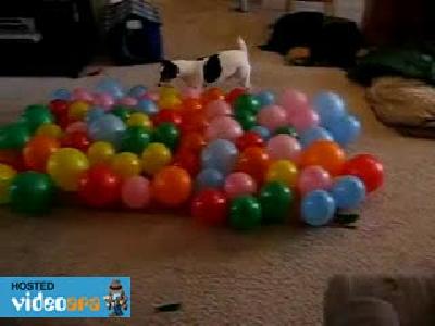 Balon patlatma rekoru