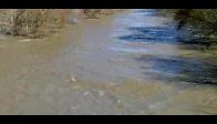 video Ahmetceli Sel 13.02.2010