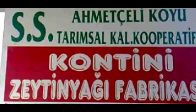 video Ahmetceli Zeytin Yağı Fabrikası Zeytin'nin Yağa dö